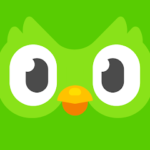 Duolingo Plus MOD APK MOD APK